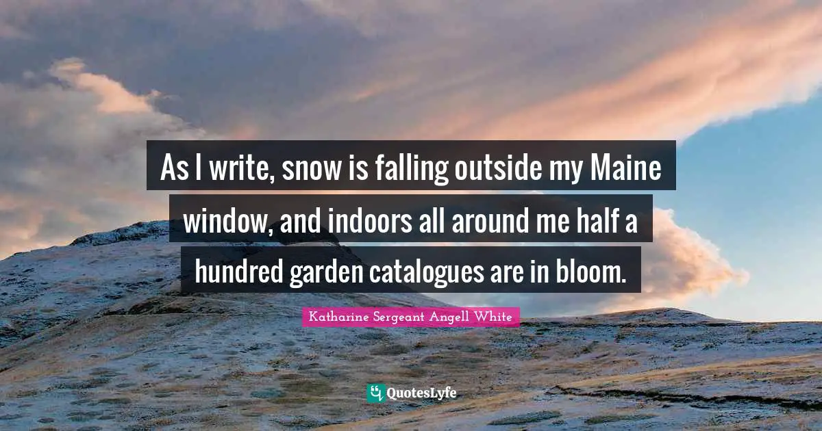 As I write, snow is falling outside my Maine window, and indoors all around me half a hundred garden catalogues are in bloom.