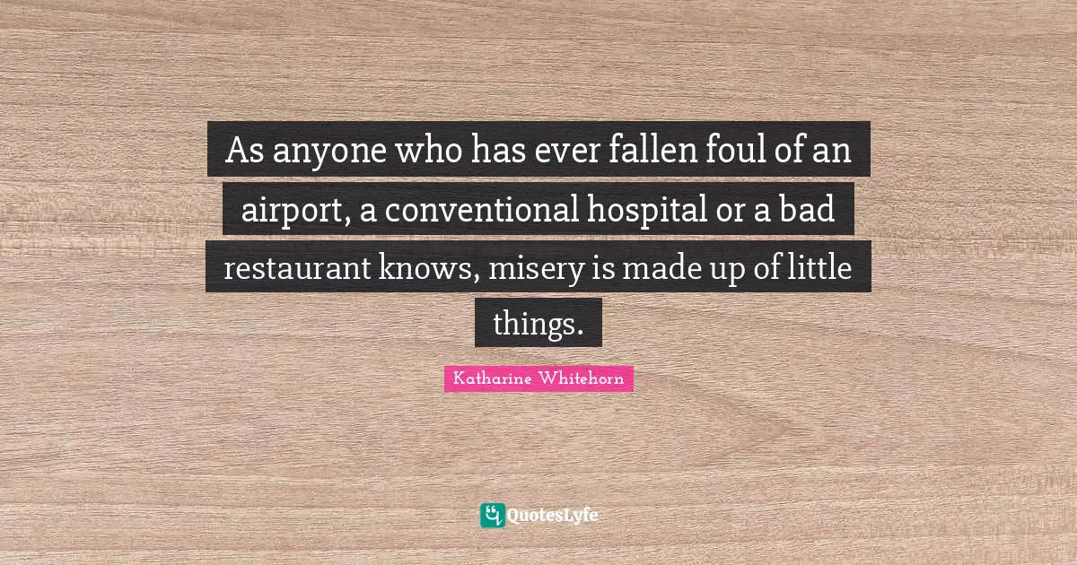 As anyone who has ever fallen foul of an airport, a conventional hospital or a bad restaurant knows, misery is made up of little things.