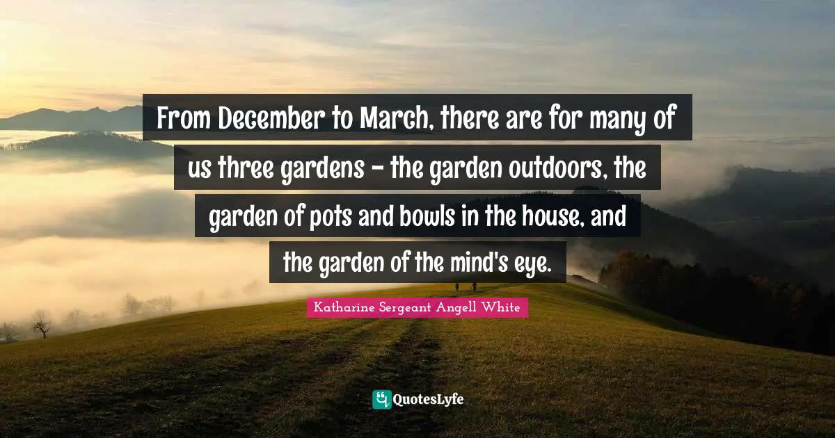 From December to March, there are for many of us three gardens - the garden outdoors, the garden of pots and bowls in the house, and the garden of the mind's eye.