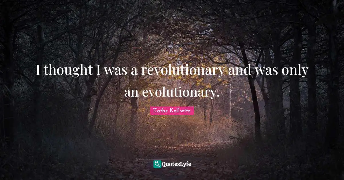 I thought I was a revolutionary and was only an evolutionary.