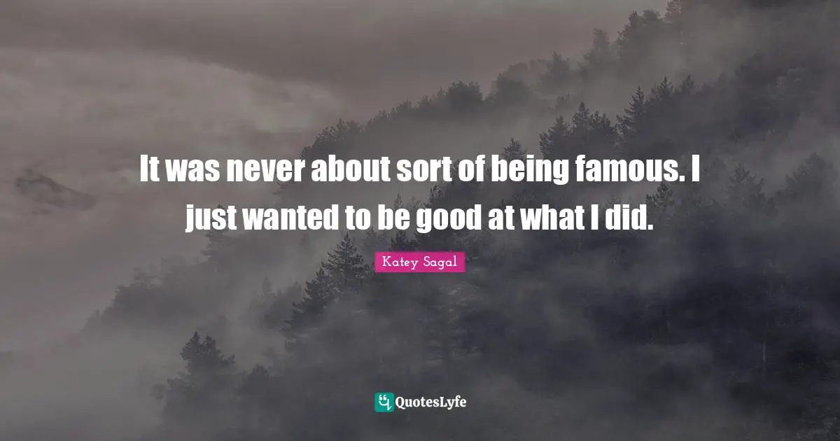 It was never about sort of being famous. I just wanted to be good at what I did.