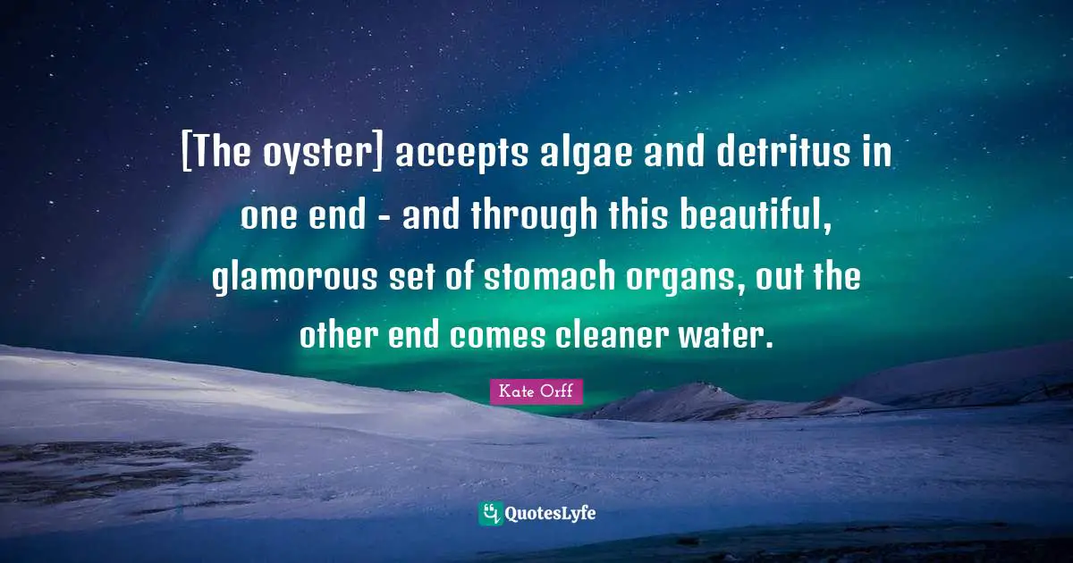 [The oyster] accepts algae and detritus in one end - and through this beautiful, glamorous set of stomach organs, out the other end comes cleaner water.