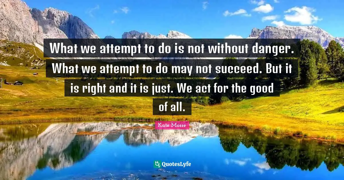 What we attempt to do is not without danger. What we attempt to do may not succeed. But it is right and it is just. We act for the good of all.