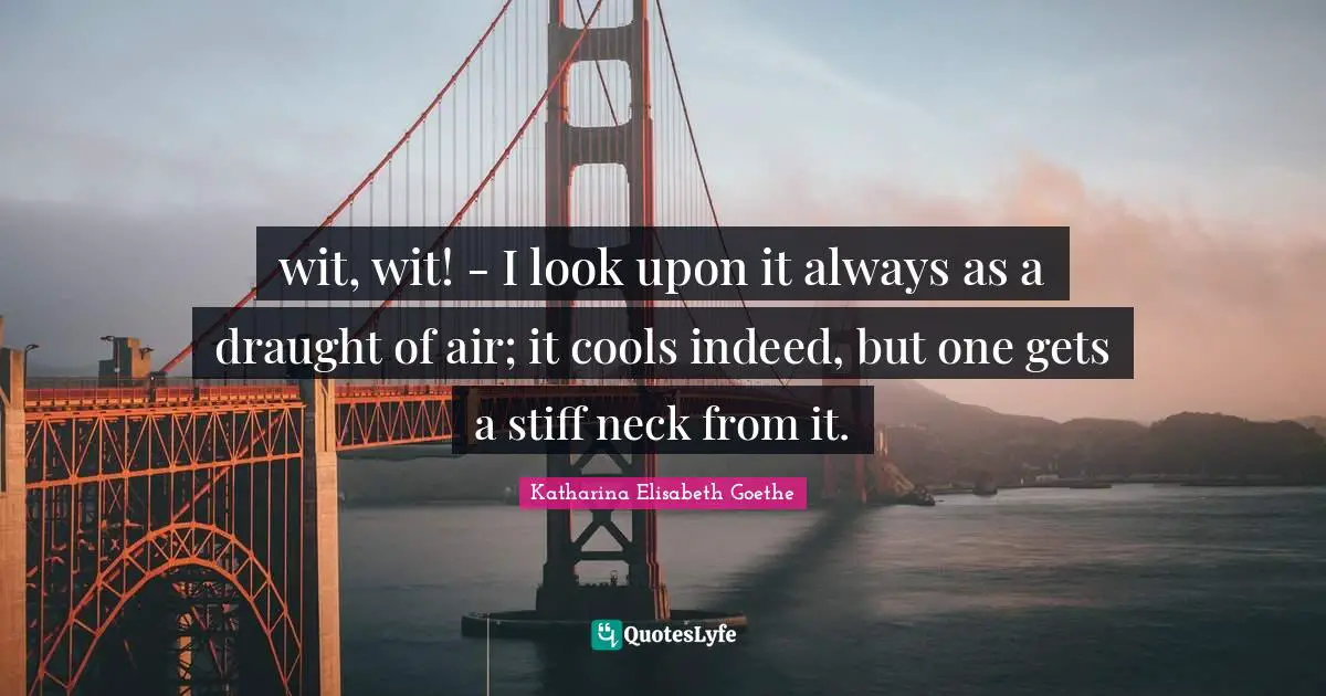 Katharina Elisabeth Goethe Quotes: "wit, wit! - I look upon it always as a draught of air; it cools indeed, but one gets a stiff neck from it."