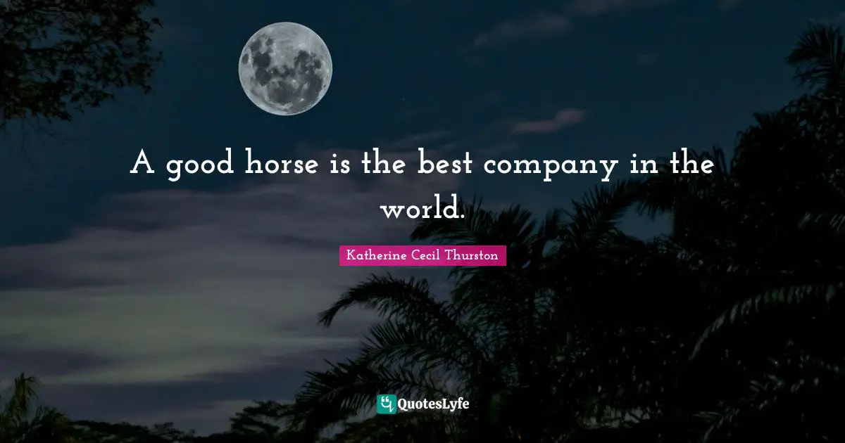 A good horse is the best company in the world.