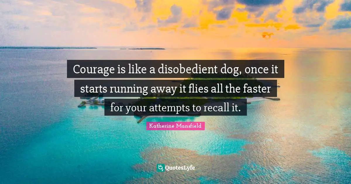 Courage is like a disobedient dog, once it starts running away it flies all the faster for your attempts to recall it.