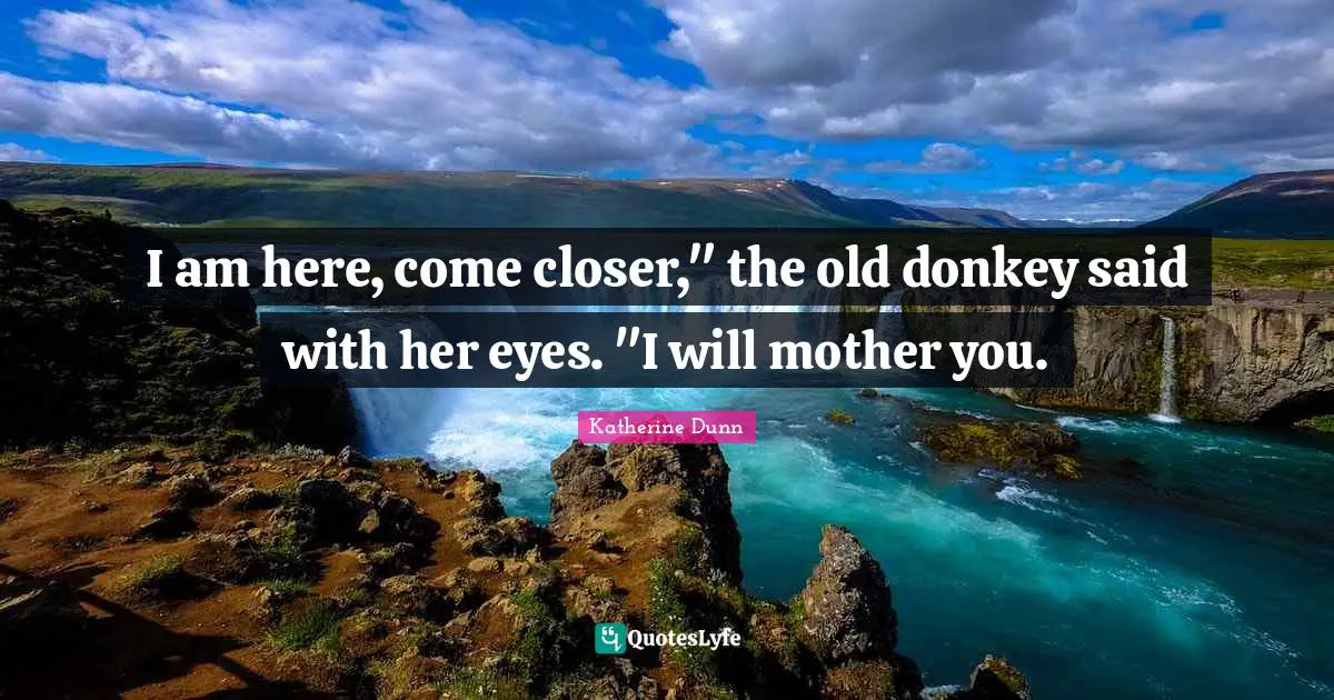 I am here, come closer," the old donkey said with her eyes. "I will mother you.
