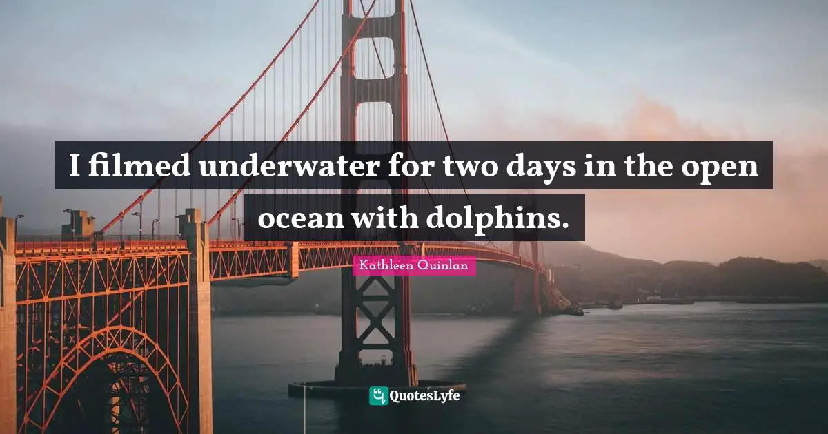 I filmed underwater for two days in the open ocean with dolphins.