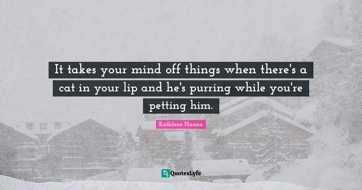 It takes your mind off things when there's a cat in your lip and he's purring while you're petting him.