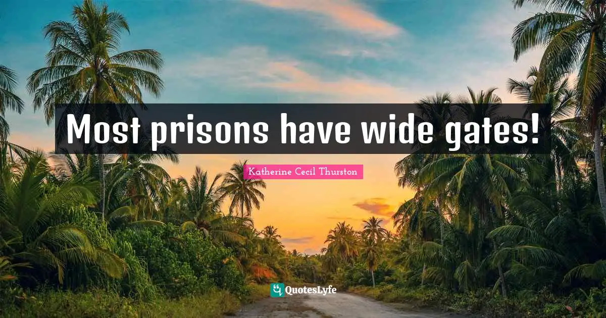 Most prisons have wide gates!