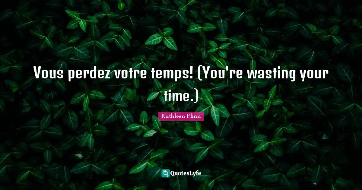 Vous perdez votre temps! (You're wasting your time.)