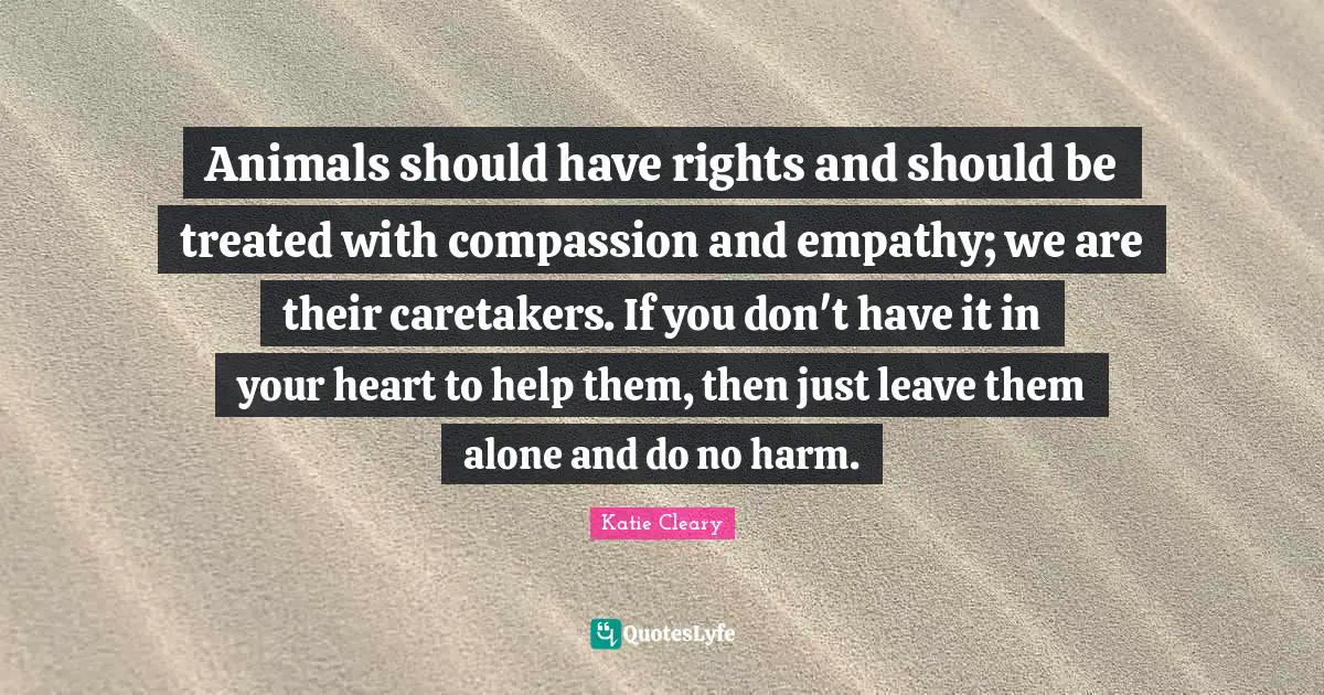 Animals should have rights and should be treated with compassion and empathy; we are their caretakers. If you don't have it in your heart to help them, then just leave them alone and do no harm.
