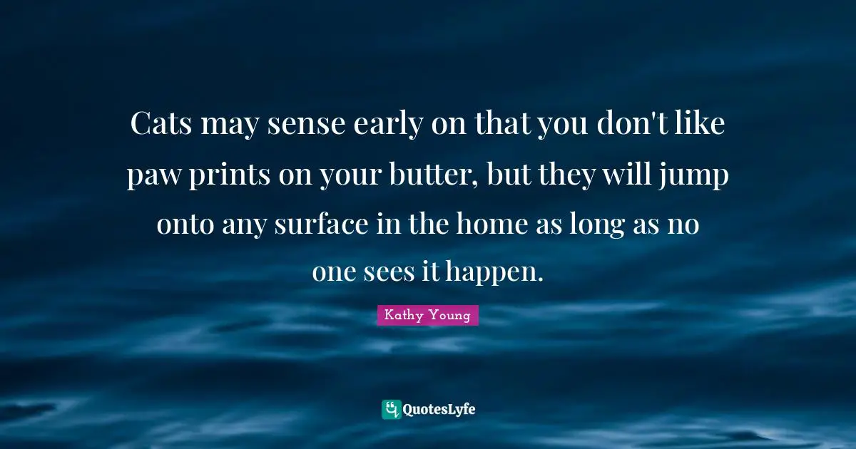 Cats may sense early on that you don't like paw prints on your butter, but they will jump onto any surface in the home as long as no one sees it happen.