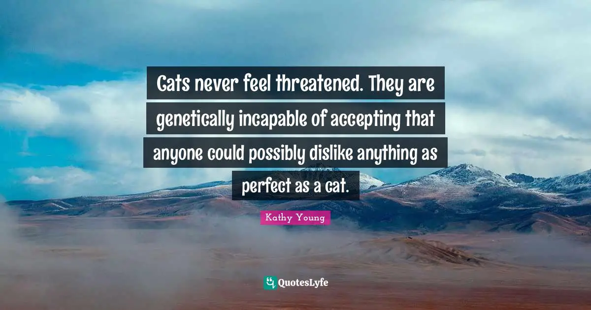 Cats never feel threatened. They are genetically incapable of accepting that anyone could possibly dislike anything as perfect as a cat.