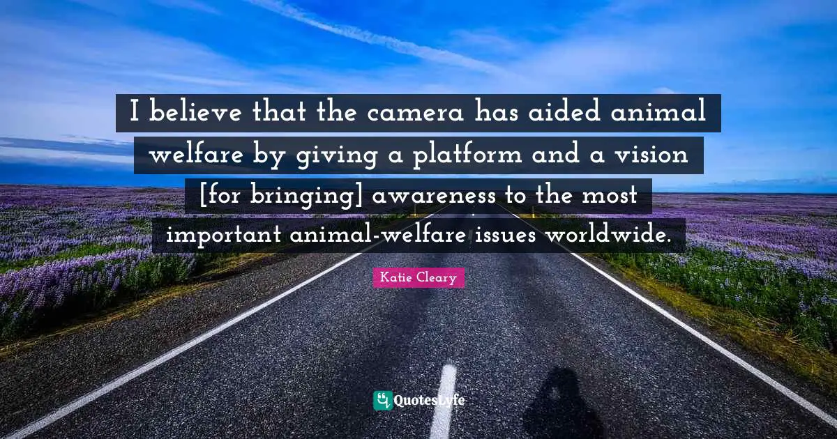 I believe that the camera has aided animal welfare by giving a platform and a vision [for bringing] awareness to the most important animal-welfare issues worldwide.