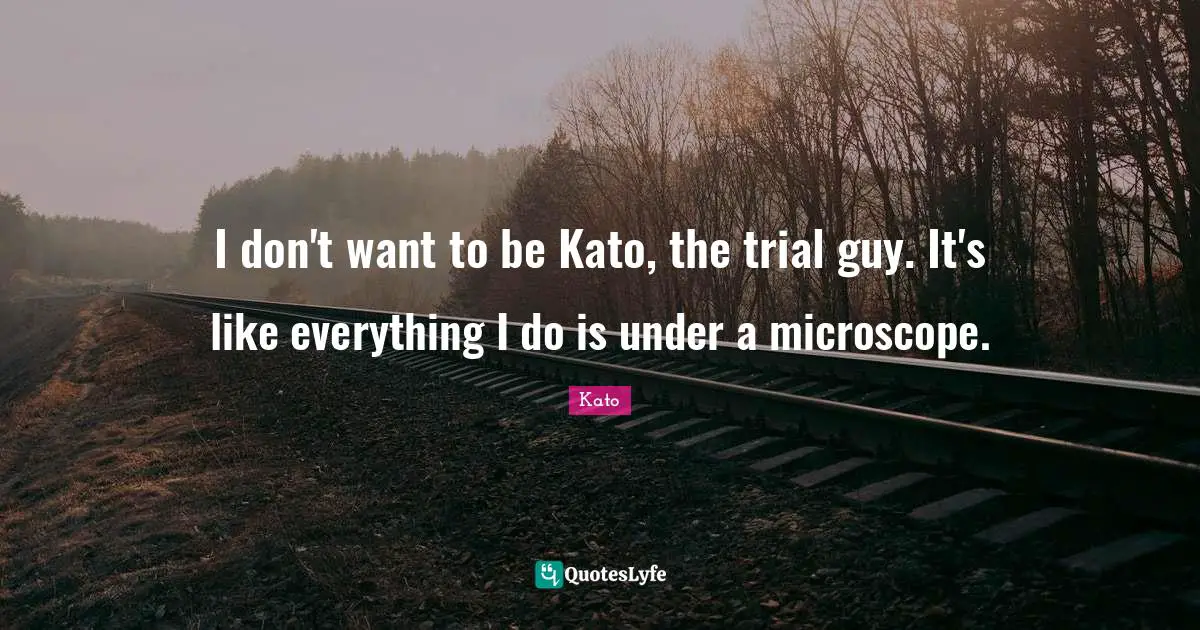 I don't want to be Kato, the trial guy. It's like everything I do is under a microscope.