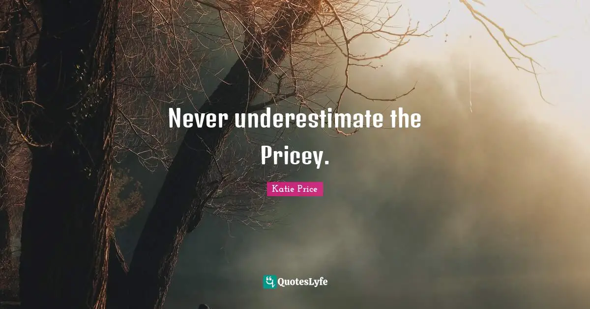 Katie Price Quotes: "Never underestimate the Pricey."
