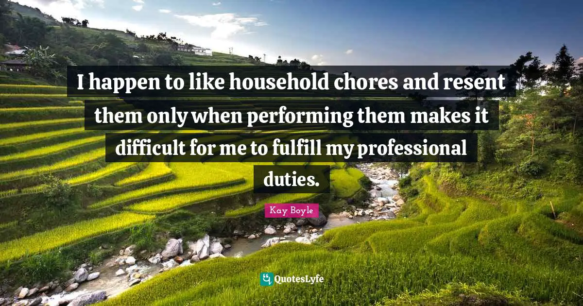 I happen to like household chores and resent them only when performing them makes it difficult for me to fulfill my professional duties.