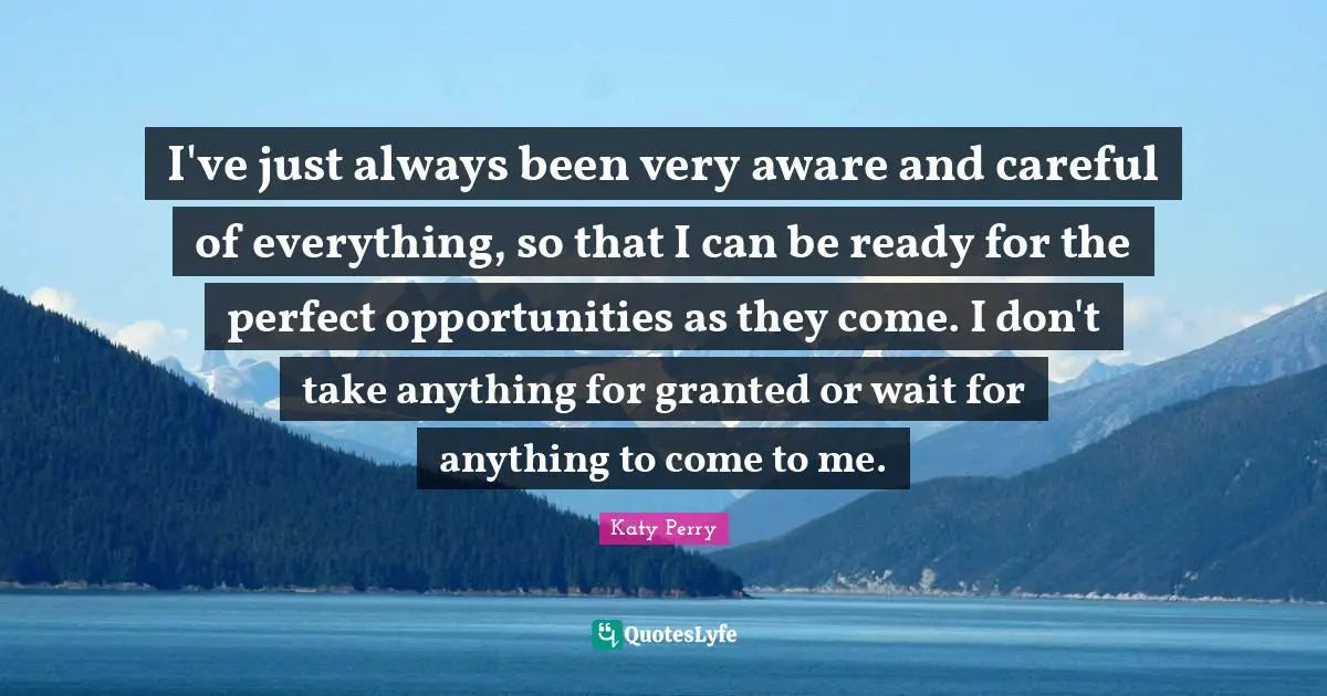 I've just always been very aware and careful of everything, so that I can be ready for the perfect opportunities as they come. I don't take anything for granted or wait for anything to come to me.