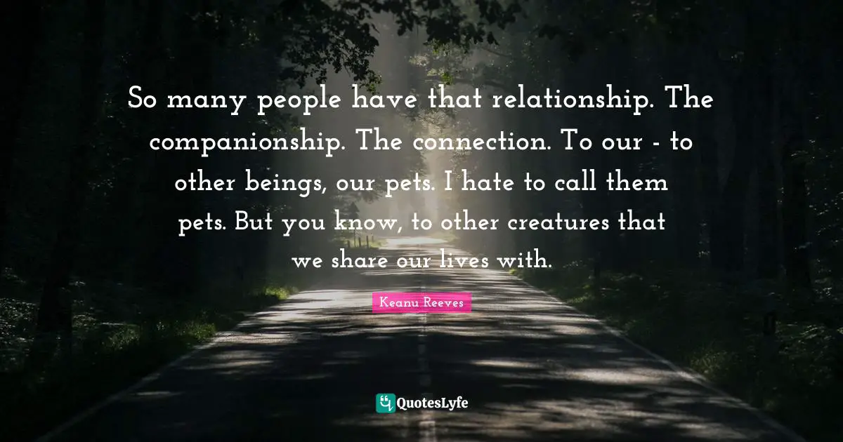 So many people have that relationship. The companionship. The connection. To our - to other beings, our pets. I hate to call them pets. But you know, to other creatures that we share our lives with.