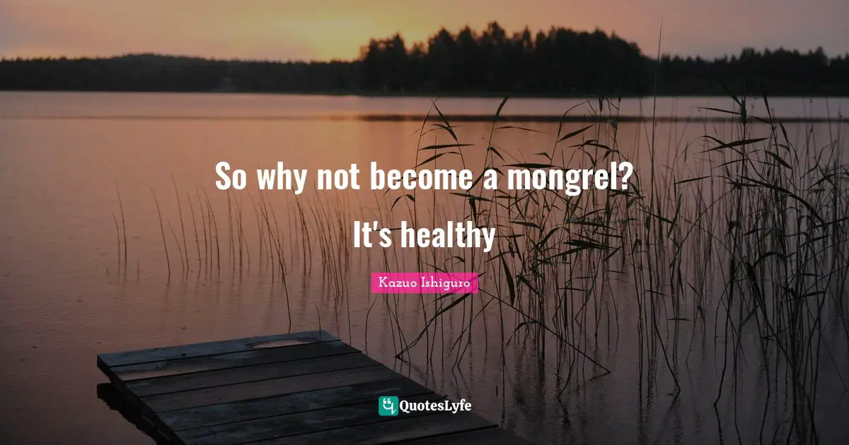 So why not become a mongrel? It's healthy