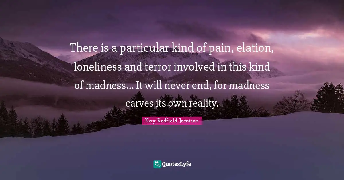 There is a particular kind of pain, elation, loneliness and terror involved in this kind of madness... It will never end, for madness carves its own reality.