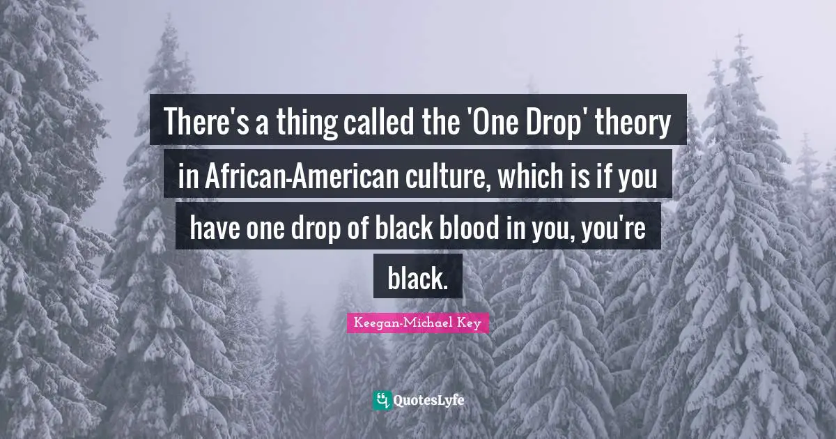 There's a thing called the 'One Drop' theory in African-American culture, which is if you have one drop of black blood in you, you're black.