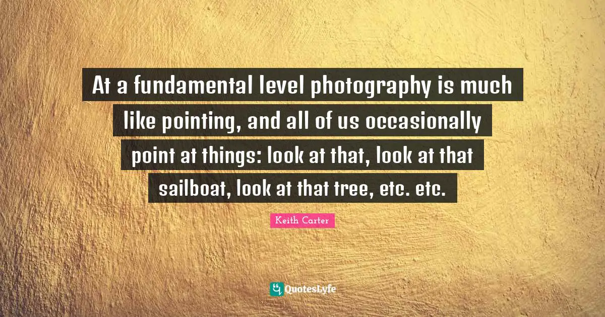 At a fundamental level photography is much like pointing, and all of us occasionally point at things: look at that, look at that sailboat, look at that tree, etc. etc.