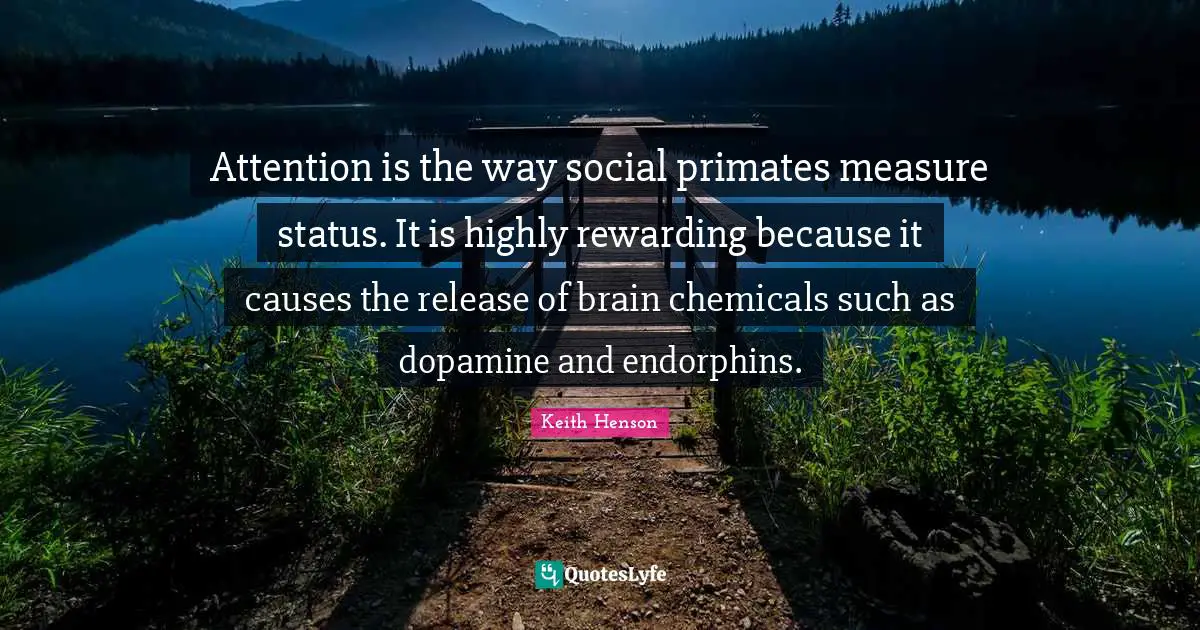Attention is the way social primates measure status. It is highly rewarding because it causes the release of brain chemicals such as dopamine and endorphins.