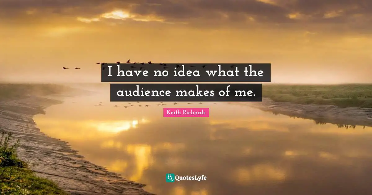 I have no idea what the audience makes of me.