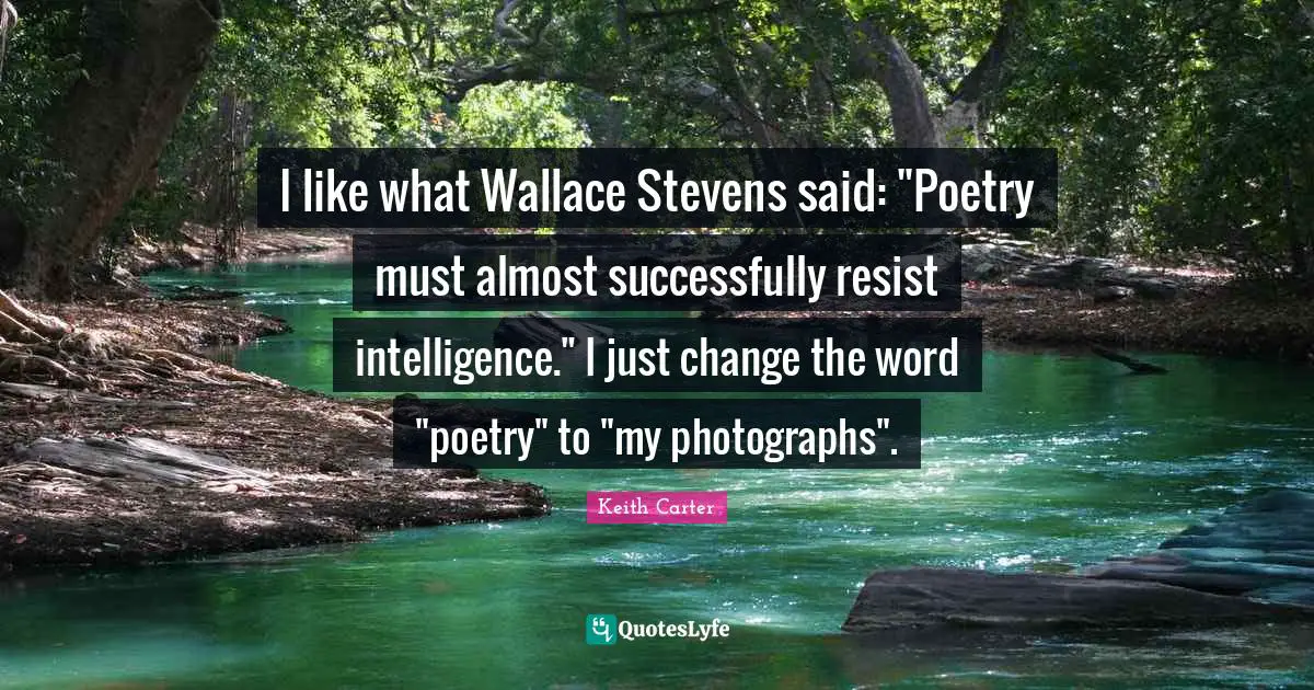 Keith Carter Quotes: "I like what Wallace Stevens said: "Poetry must almost successfully resist intelligence." I just change the word "poetry" to "my photographs"."