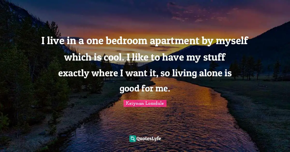 I live in a one bedroom apartment by myself which is cool. I like to have my stuff exactly where I want it, so living alone is good for me.