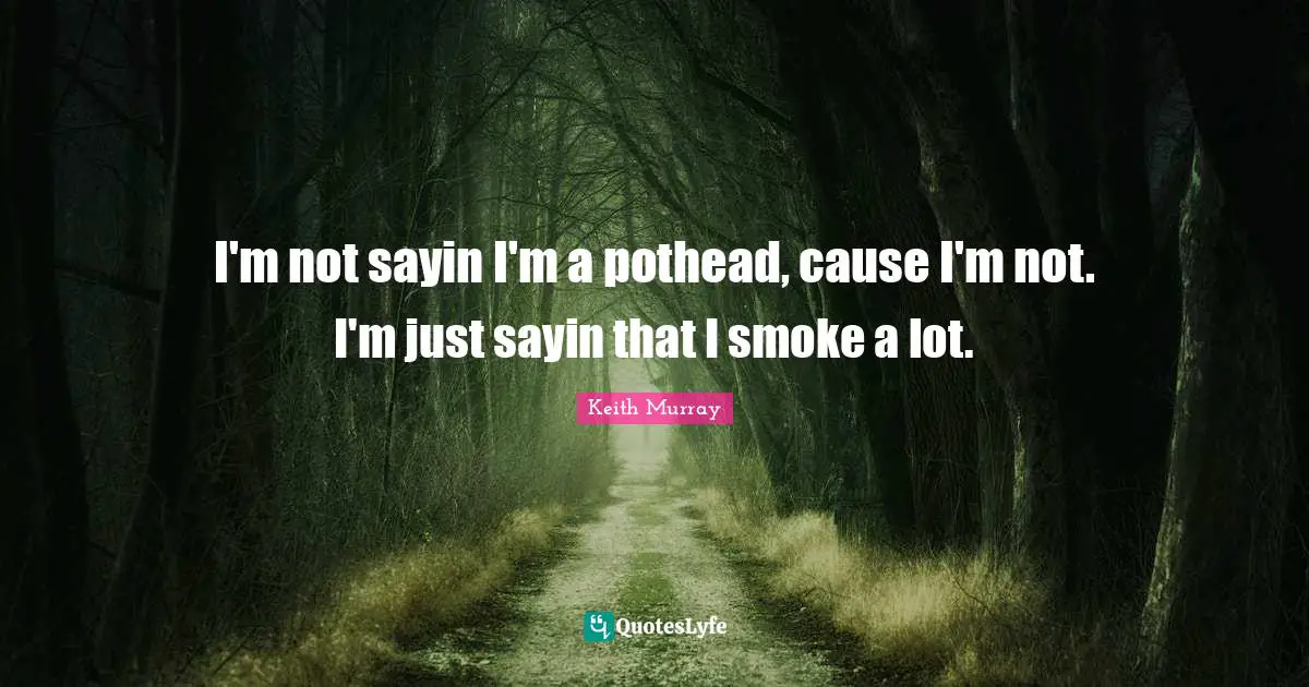 I'm not sayin I'm a pothead, cause I'm not. I'm just sayin that I smoke a lot.