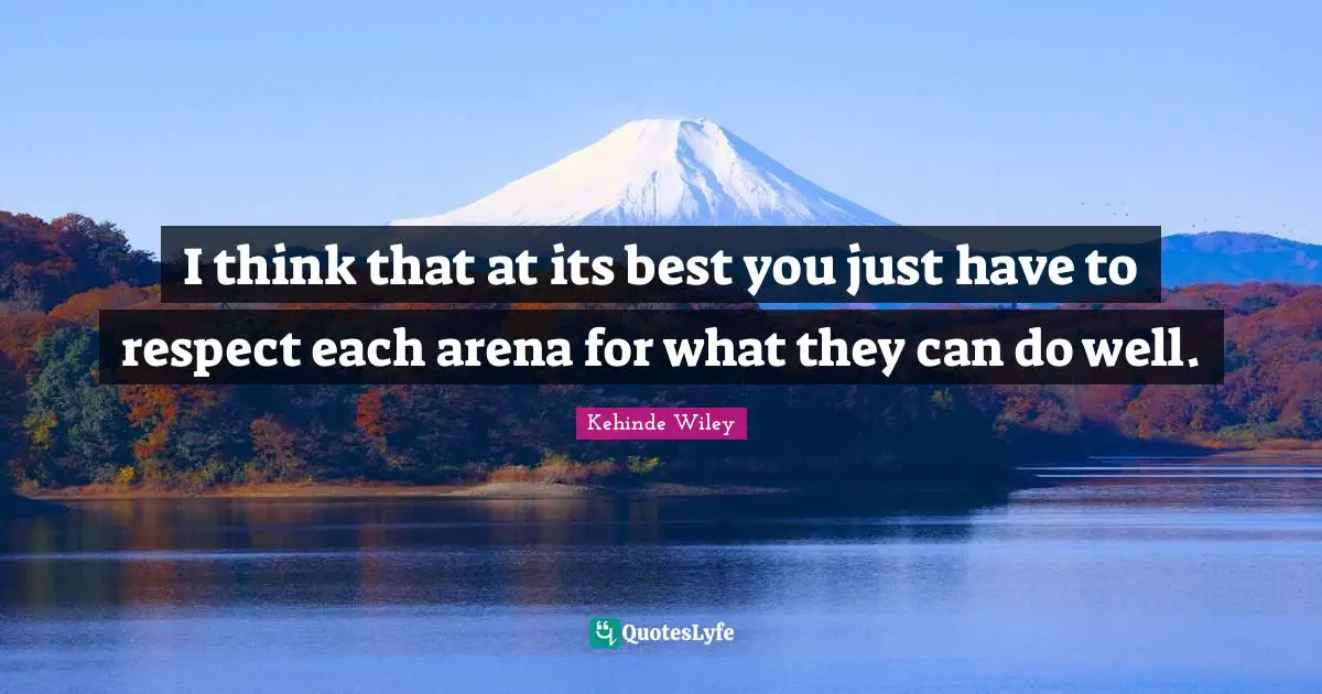 I think that at its best you just have to respect each arena for what they can do well.