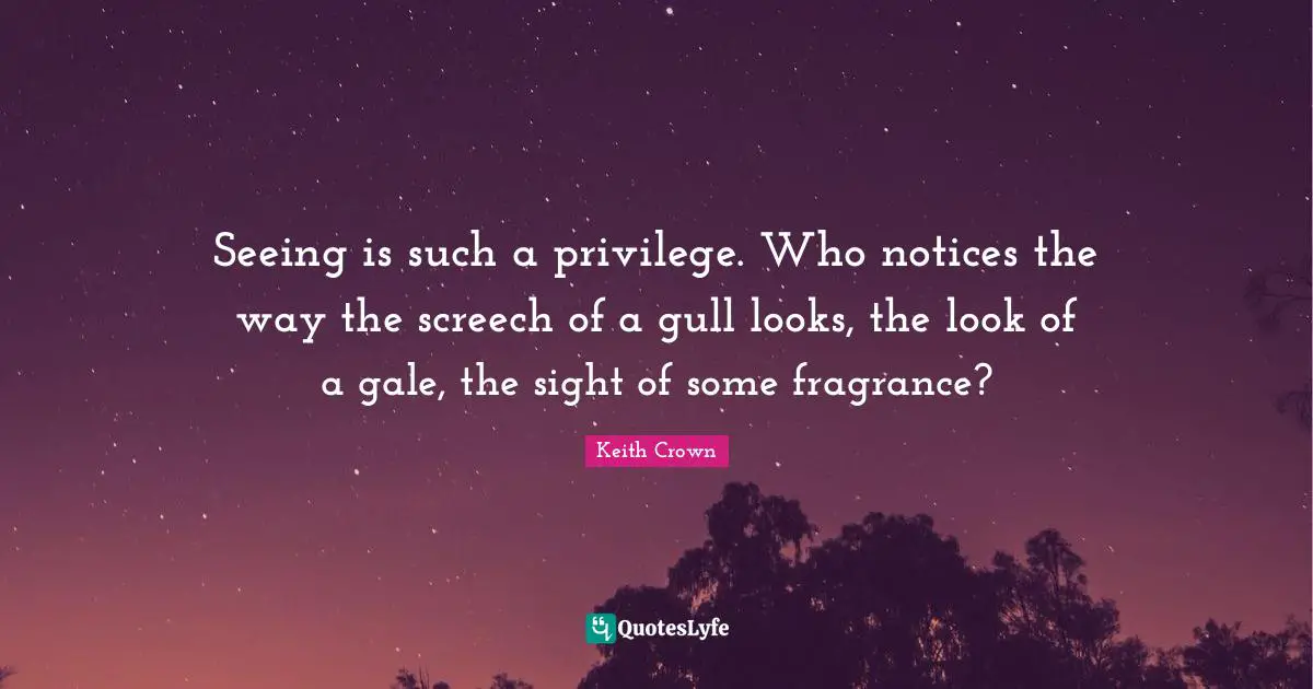 Seeing is such a privilege. Who notices the way the screech of a gull looks, the look of a gale, the sight of some fragrance?