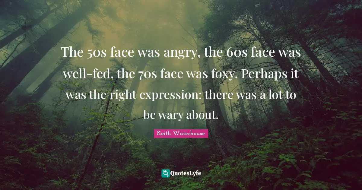 The 50s face was angry, the 60s face was well-fed, the 70s face was foxy. Perhaps it was the right expression: there was a lot to be wary about.