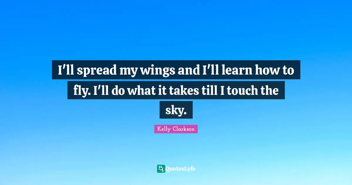 I'll spread my wings and I'll learn how to fly. I'll do what it takes till I touch the sky.