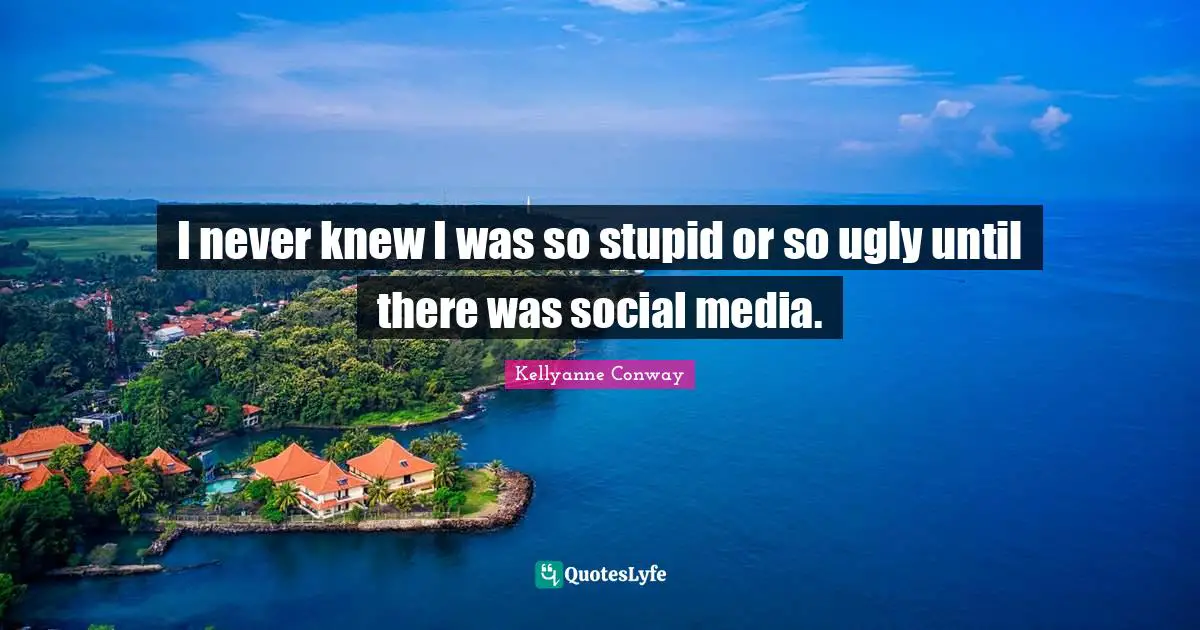 Media Quotes: "I never knew I was so stupid or so ugly until there was social media."