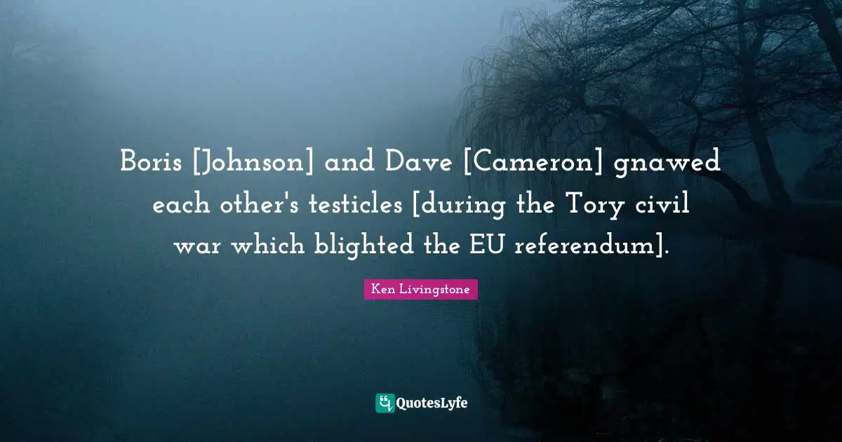 Boris [Johnson] and Dave [Cameron] gnawed each other's testicles [during the Tory civil war which blighted the EU referendum].