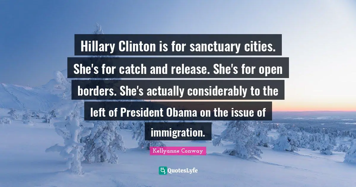 Hillary Clinton is for sanctuary cities. She's for catch and release. She's for open borders. She's actually considerably to the left of President Obama on the issue of immigration.