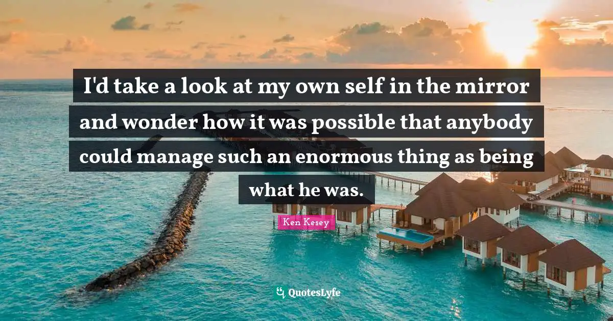 I'd take a look at my own self in the mirror and wonder how it was possible that anybody could manage such an enormous thing as being what he was.
