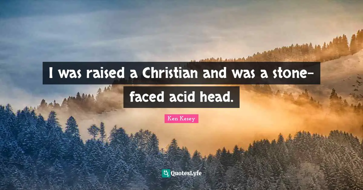 Acid Quotes: "I was raised a Christian and was a stone-faced acid head."