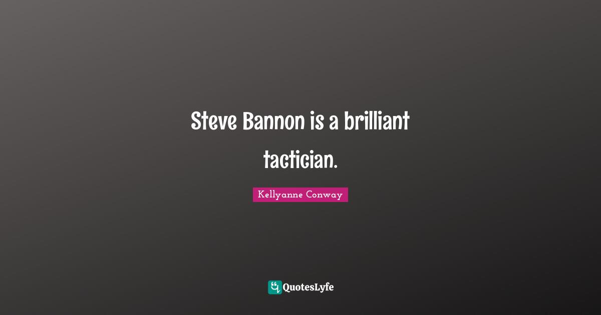 Steve Bannon is a brilliant tactician.