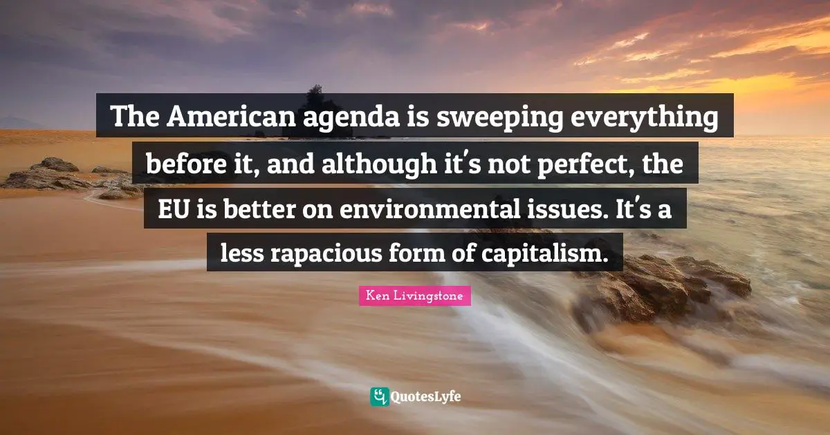 The American agenda is sweeping everything before it, and although it's not perfect, the EU is better on environmental issues. It's a less rapacious form of capitalism.