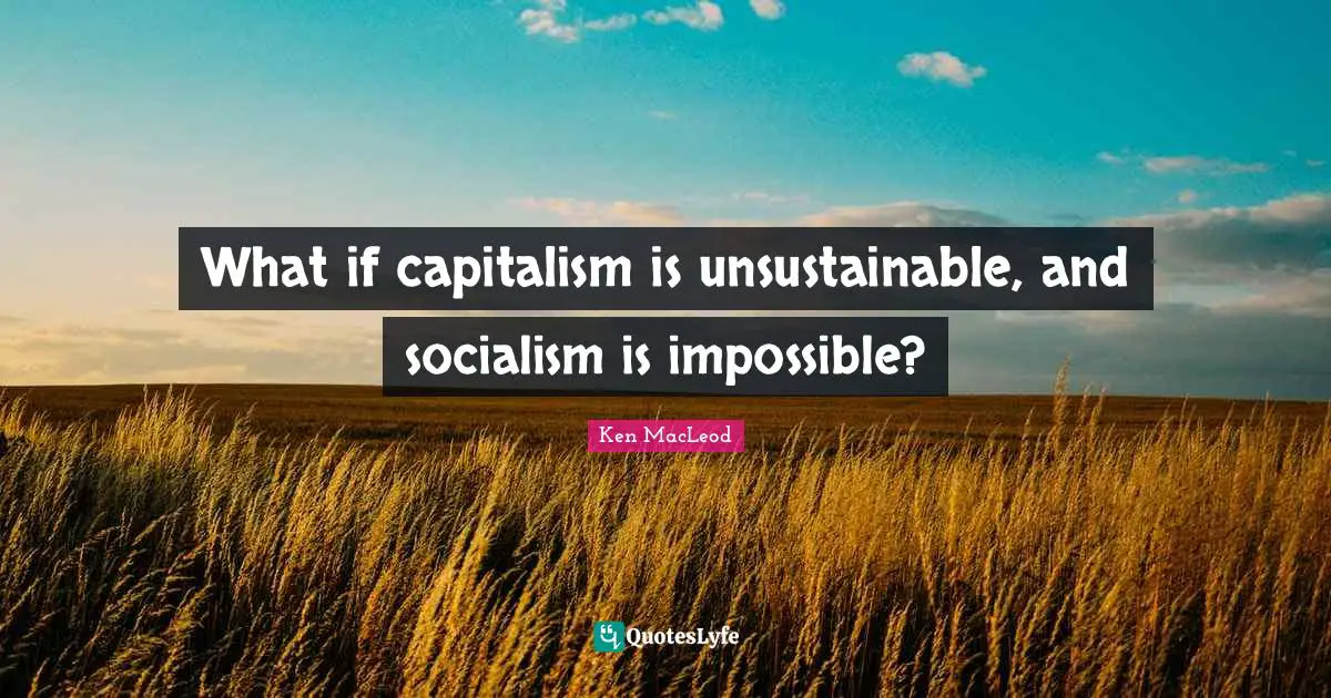 What if capitalism is unsustainable, and socialism is impossible?