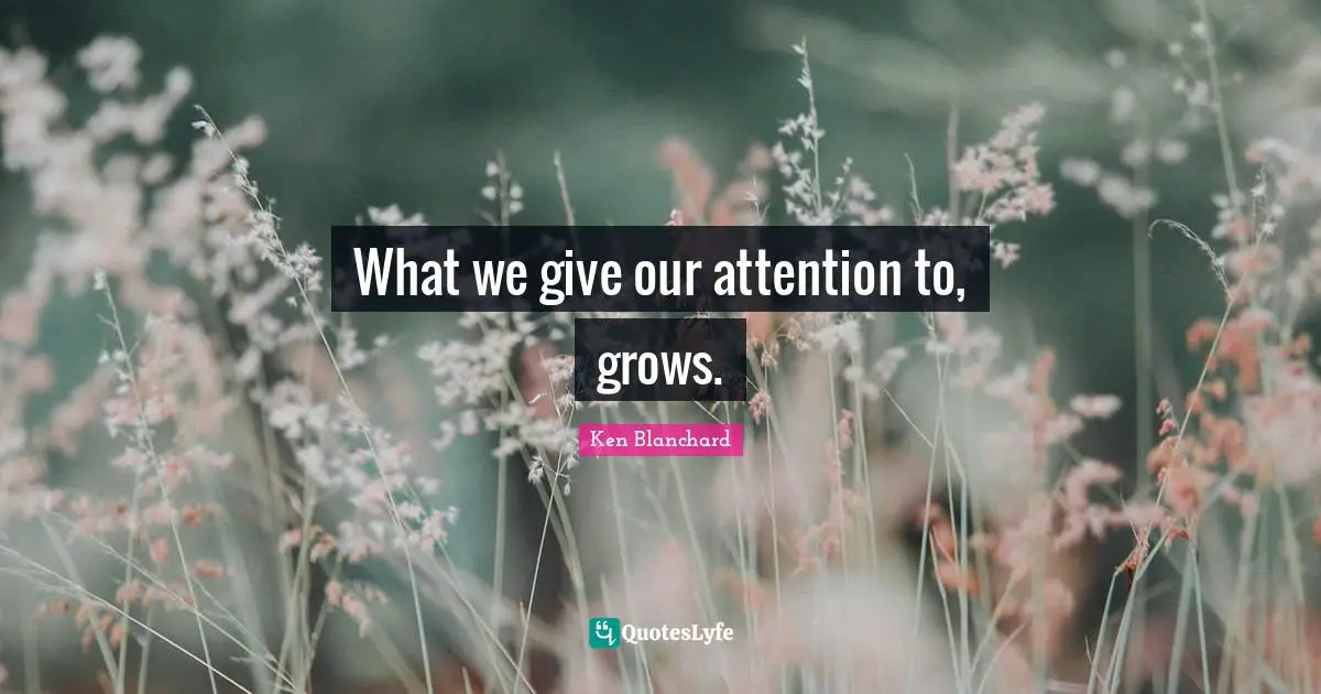 What we give our attention to, grows.