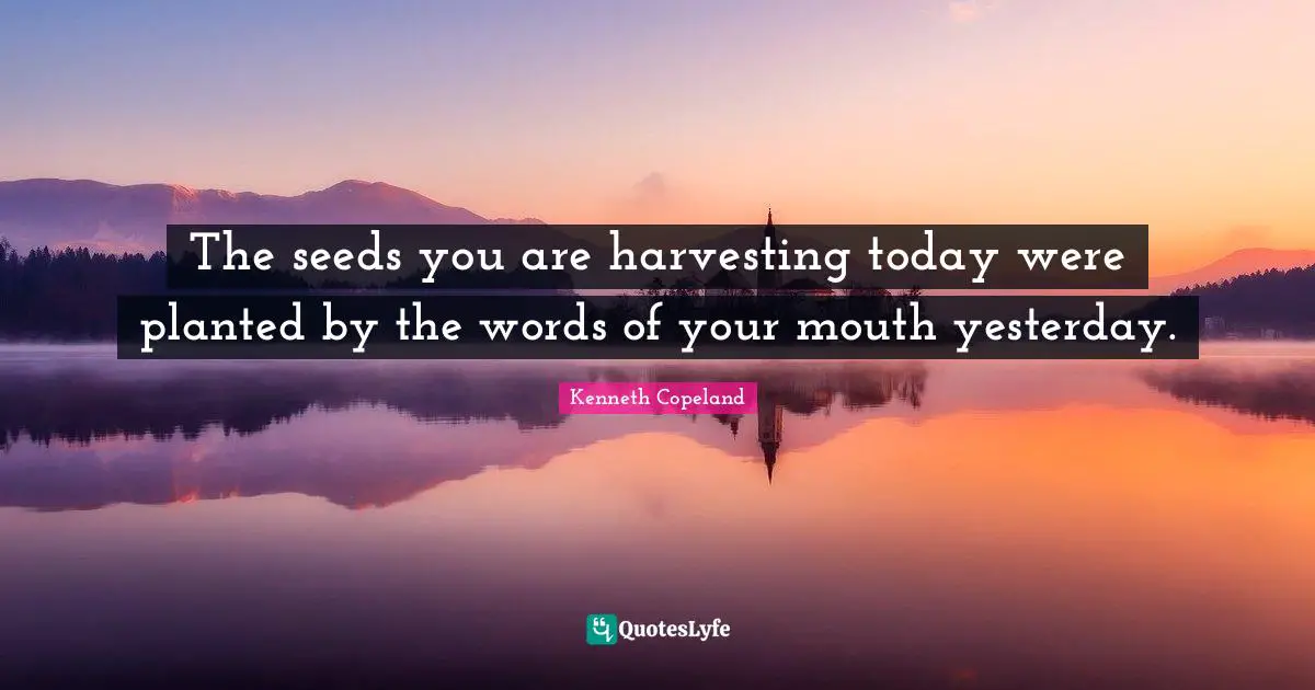 Mouths Quotes: "The seeds you are harvesting today were planted by the words of your mouth yesterday."
