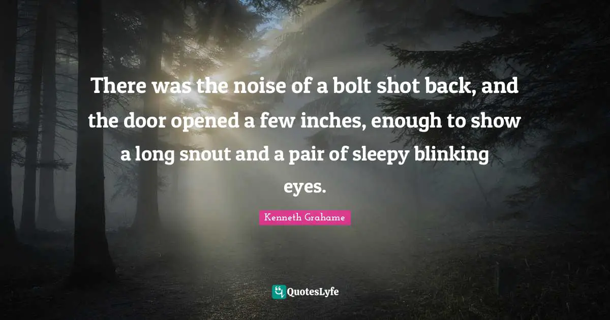 There was the noise of a bolt shot back, and the door opened a few inches, enough to show a long snout and a pair of sleepy blinking eyes.