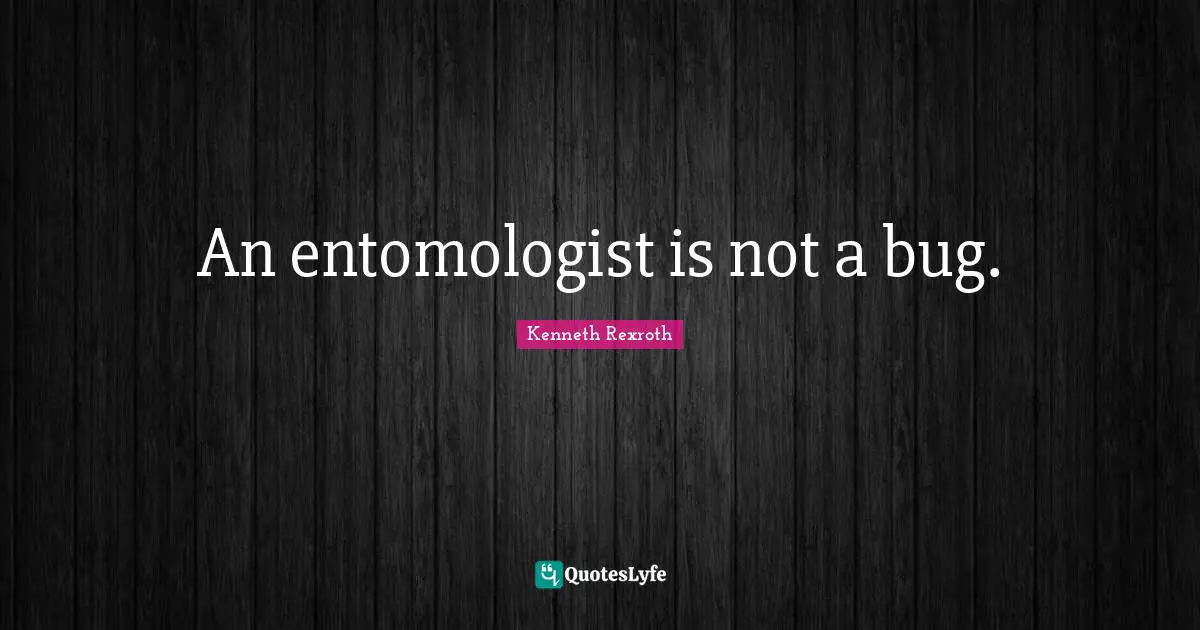An entomologist is not a bug.