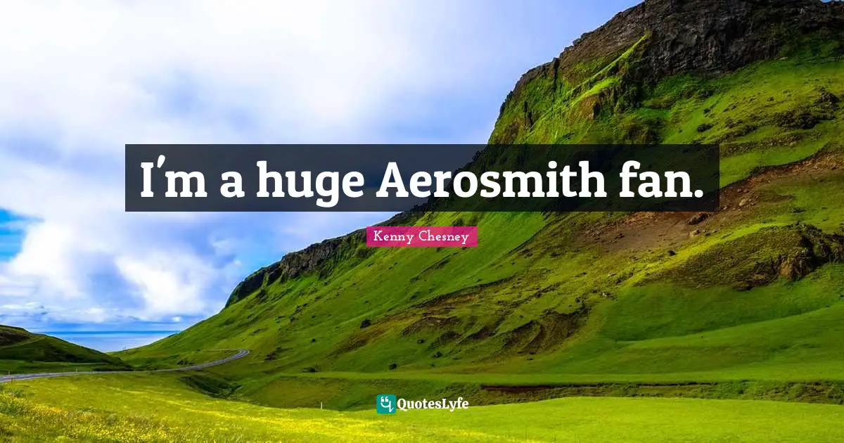 I'm a huge Aerosmith fan.